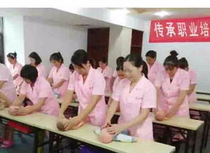 河间月嫂传承家政服务公司 专业守护，传承温暖，打造贴心家政服务