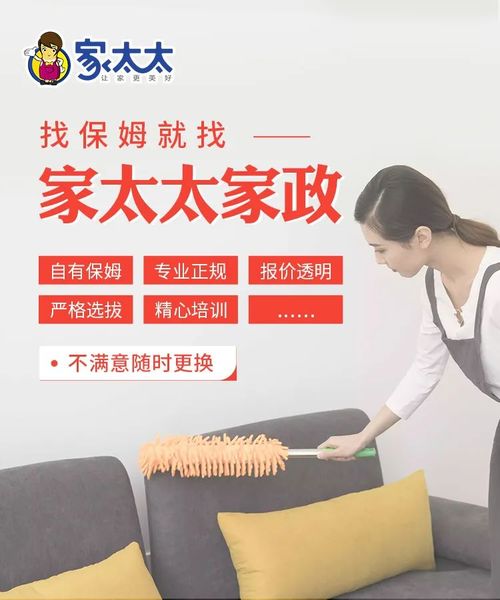 家政兴农 家太太创新服务模式，为乡村振兴注入新动能