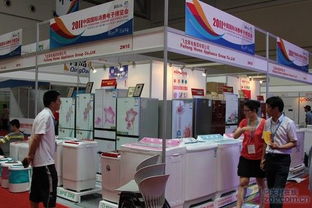 时尚与科技共舞 飞龙冰洗全线新品亮相展会，引领智慧家政新潮流