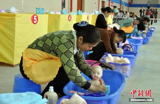 促进就业重点群体参与家政服务培训，开拓就业新路径